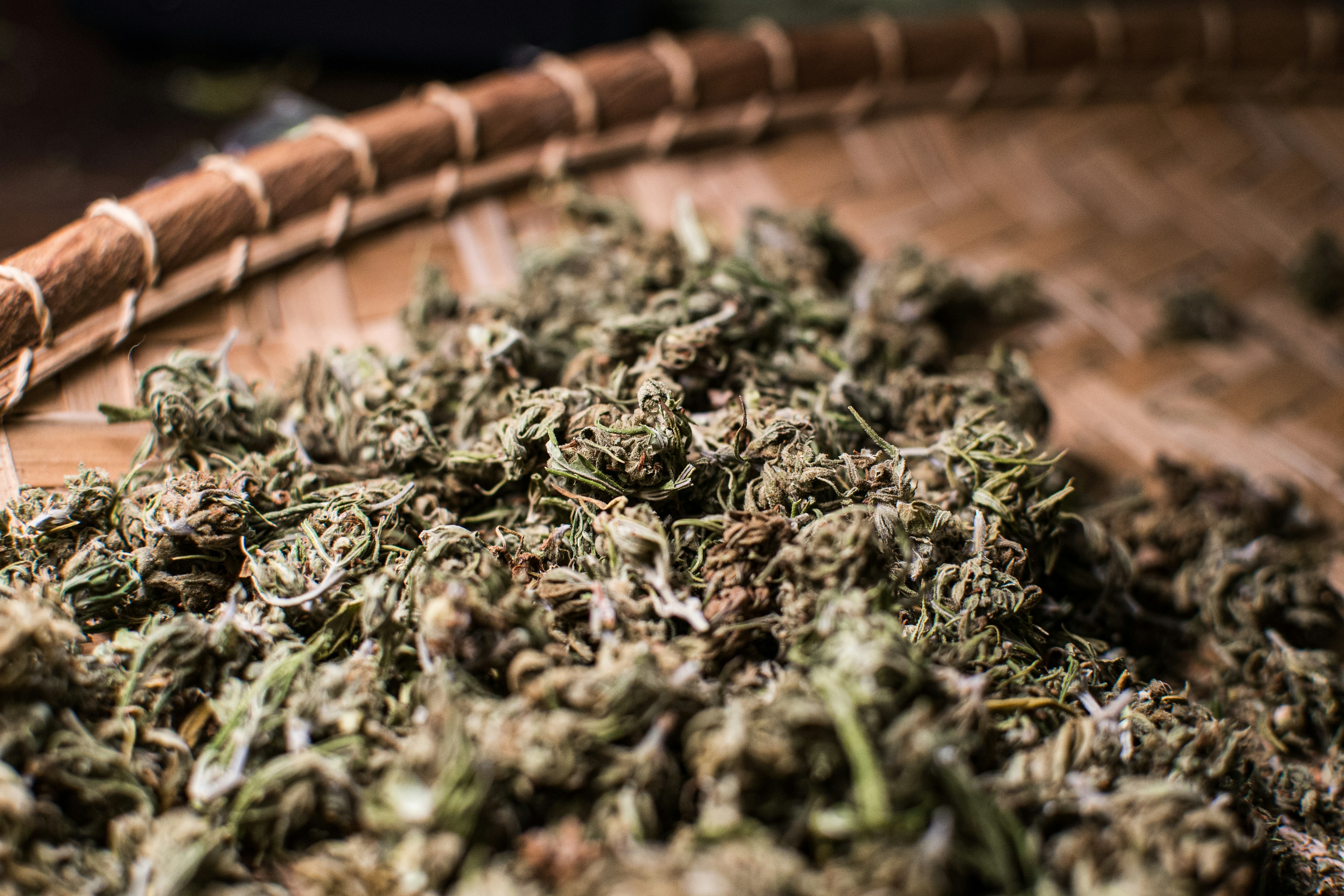 Каннабис в Северной Македонии в 2026 году — законы, Скопье и medical cannabis